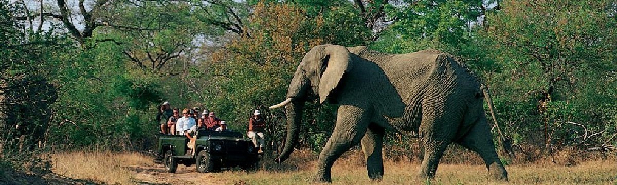 Asamilo Tour Operator